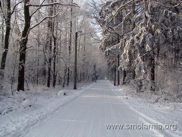 zima2009 (30).JPG
